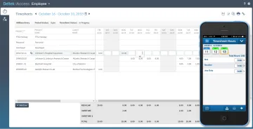 Miniatura Deltek Software ERP